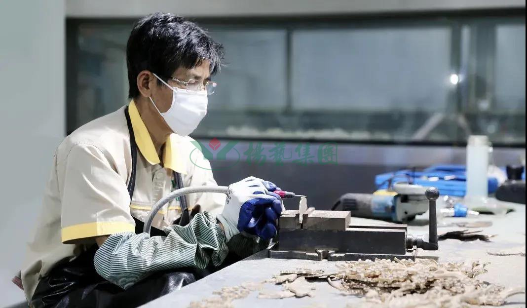 1-22020PZ24OF 人生就是搏(ZLKS)集团唯一官方网站