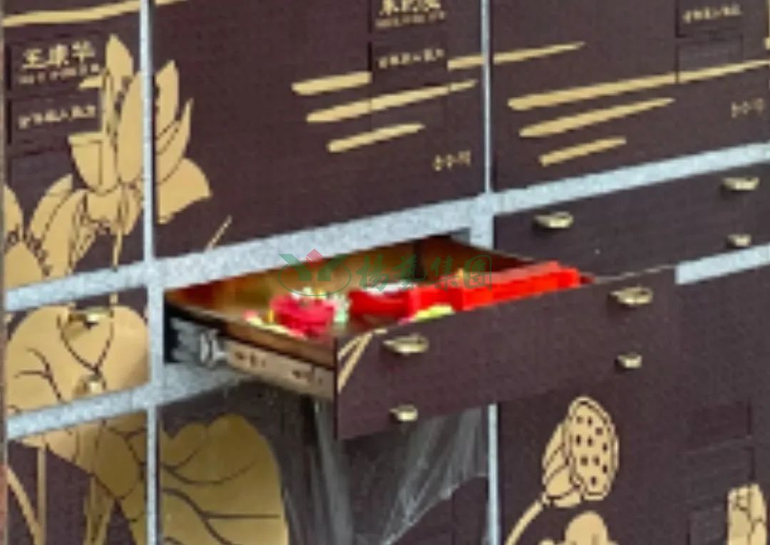 1-22100G03139630 人生就是搏(ZLKS)集团唯一官方网站