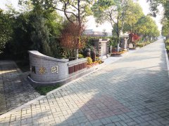 城市最后一平米：生态葬，是与天然的和解？还是无奈的选择？